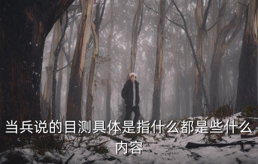 當(dāng)兵說的目測具體是指什么都是些什么內(nèi)容