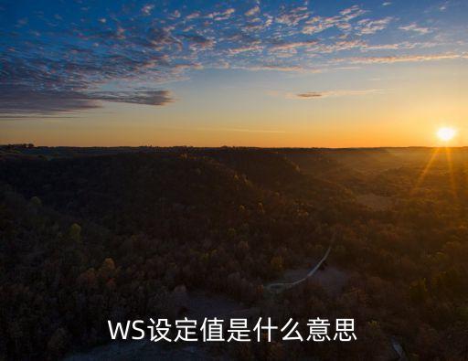 設(shè)定值，WS設(shè)定值是什么意思