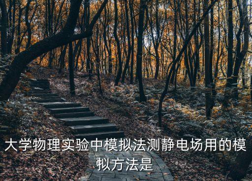 大學(xué)物理實驗中模擬法測靜電場用的模擬方法是