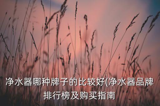 凈水器哪種牌子的比較好(凈水器品牌排行榜及購(gòu)買指南