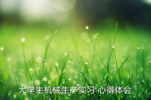 自動(dòng)化專業(yè)培訓(xùn)心得,機(jī)械制造及其自動(dòng)化專業(yè)心得
