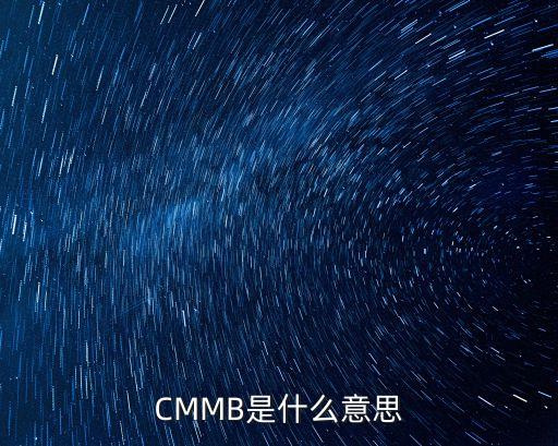 cmmb，CMMB是什么