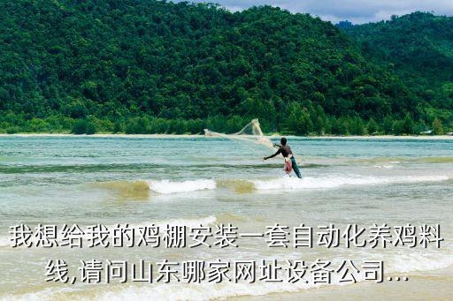 養(yǎng)雞大棚自動(dòng)化設(shè)備,自動(dòng)化養(yǎng)雞設(shè)備哪里有?