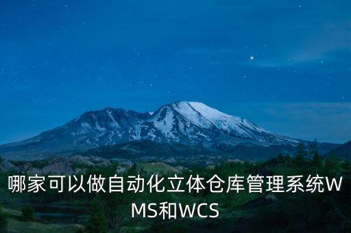 哪家可以做自動化立體倉庫管理系統(tǒng)WMS和WCS