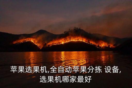 蘋果選果機(jī),全自動蘋果分揀 設(shè)備,選果機(jī)哪家最好