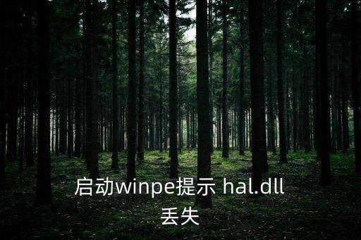 hal,hal.dll丟失的原因