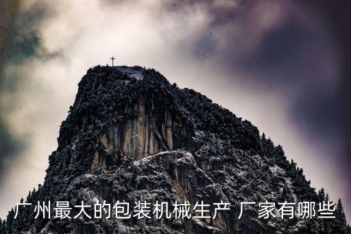 廣州最大的包裝機(jī)械生產(chǎn) 廠家有哪些