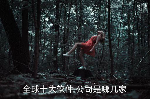 全球十大軟件 公司是哪幾家