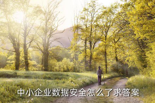  中小企業(yè)數(shù)據(jù)安全怎么了求答案