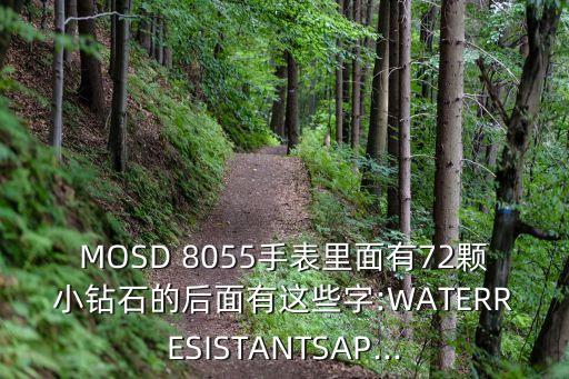 MOSD 8055手表里面有72顆小鉆石的后面有這些字:WATERRESISTANTSAP...