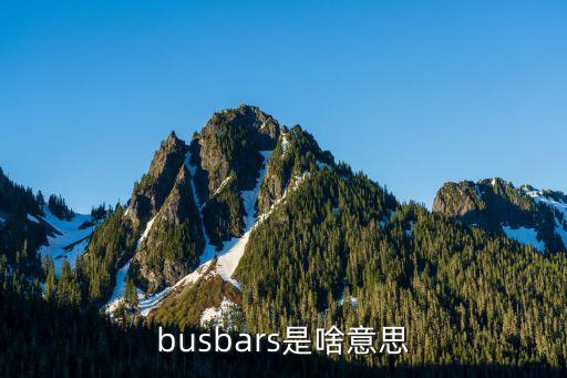 busbar，DC busbar是什么意思