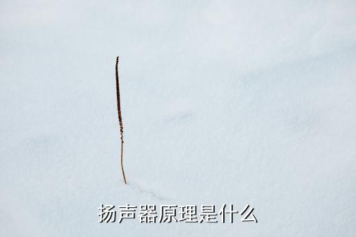 揚(yáng)聲器原理是什么