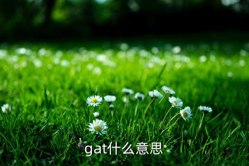 gat什么意思