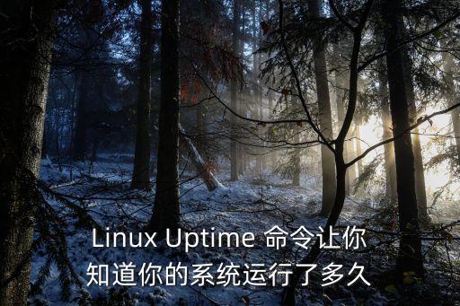 Linux Uptime 命令讓你知道你的系統(tǒng)運(yùn)行了多久