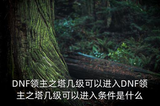 DNF領(lǐng)主之塔幾級可以進入DNF領(lǐng)主之塔幾級可以進入條件是什么
