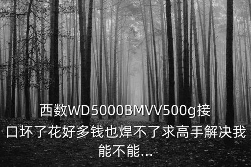 西部數(shù)據(jù)硬盤接口壞了,西數(shù)2tb移動(dòng)硬盤接口不良怎么辦?