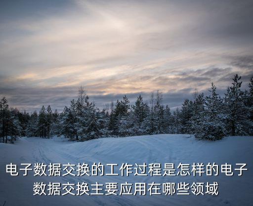 電子數(shù)據(jù)交換，如何進(jìn)行電子數(shù)據(jù)交換 EDI