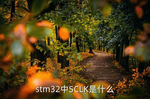 stm32中SCLK是什么
