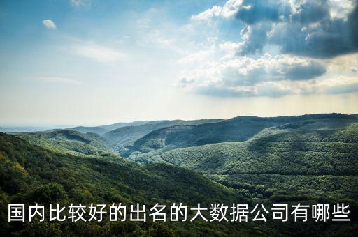 大數(shù)據(jù)公司，國內(nèi)有哪些公司能提供大數(shù)據(jù)服務(wù)