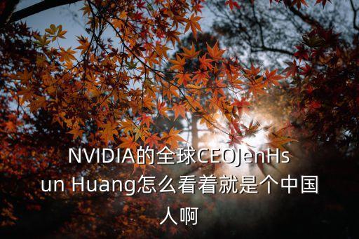 英偉達(dá)ceo，ATI現(xiàn)在的CEO是誰