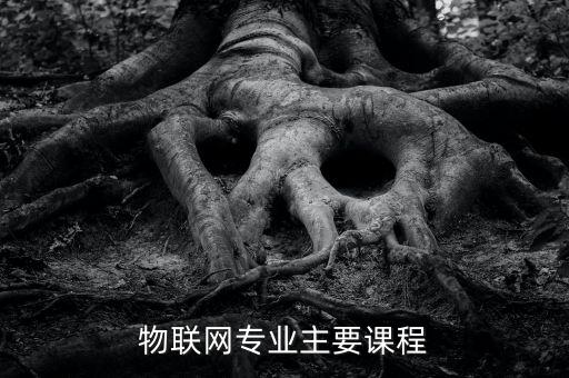 物聯(lián)網(wǎng)專業(yè)主要課程