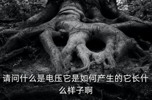 請問什么是電壓它是如何產(chǎn)生的它長什么樣子啊