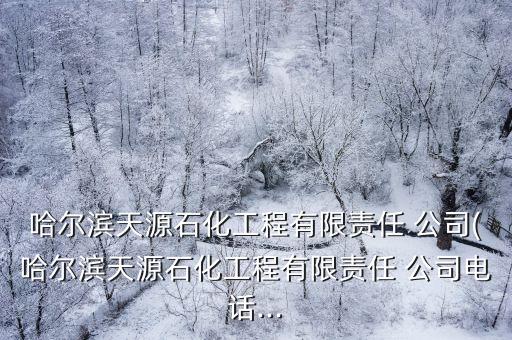 哈爾濱天源石化工程有限責任 公司(哈爾濱天源石化工程有限責任 公司電話...