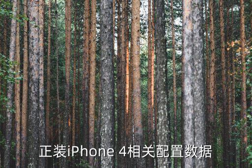 正裝iPhone 4相關(guān)配置數(shù)據(jù)
