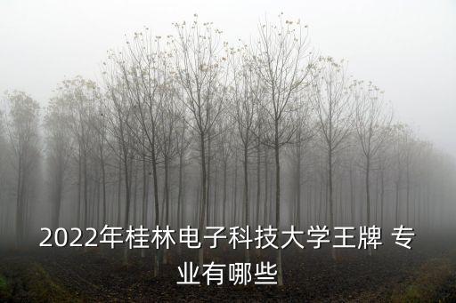 桂電自動化的專業(yè)