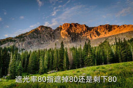 遮光度，遮光率80指遮掉80還是剩下80