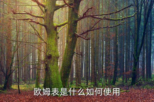 歐姆表是什么如何使用