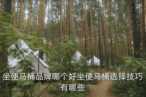 馬桶自動(dòng)化設(shè)備公司工作,智能馬桶的工作原理?