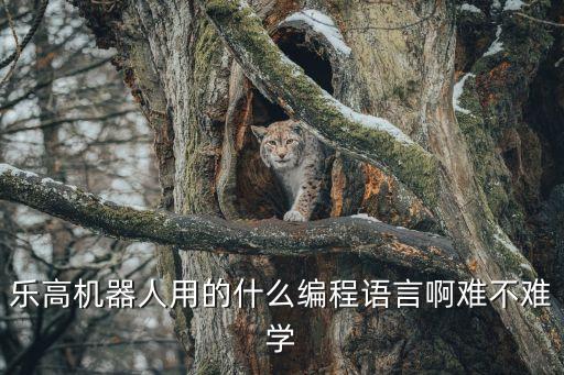 樂高機(jī)器人用的什么編程語言啊難不難學(xué)