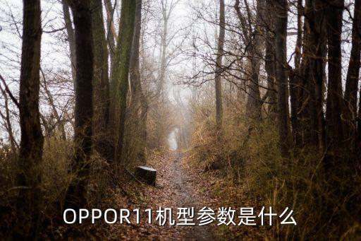OPPOR11機(jī)型參數(shù)是什么