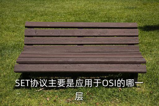 SET協(xié)議，SET協(xié)議主要是應(yīng)用于OSI的哪一層