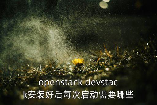 openstack devstack安裝好后每次啟動(dòng)需要哪些