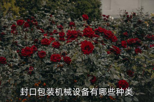 封口包裝機(jī)械設(shè)備有哪些種類