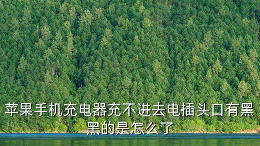 蘋果手機(jī)充電器充不進(jìn)去電插頭口有黑黑的是怎么了