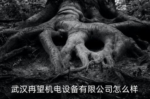 東西湖自動化設(shè)備廠,我國自動化設(shè)備生產(chǎn)商怎么樣了?