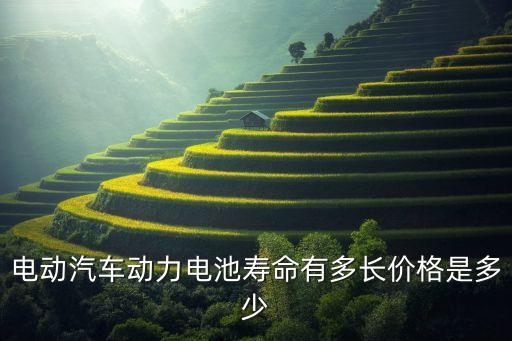 電動汽車動力電池壽命有多長價格是多少