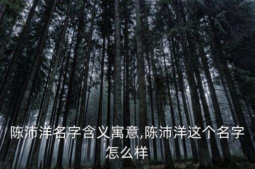 成都市沛洋自動化設(shè)備,成都沛洋自動化設(shè)備有限公司怎么樣?