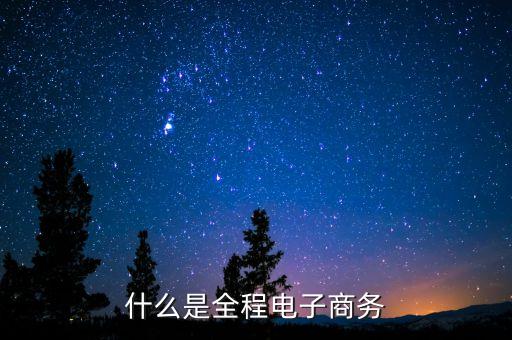 什么是全程電子商務(wù)