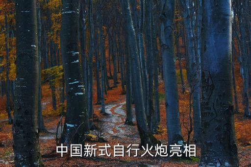 中國新式自行火炮亮相