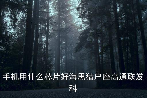 手機(jī)用什么芯片好海思獵戶(hù)座高通聯(lián)發(fā)科