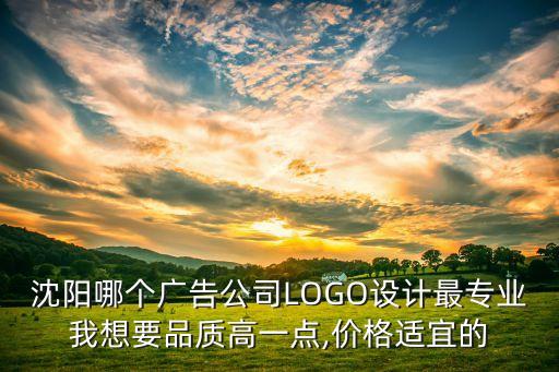 沈陽哪個廣告公司LOGO設(shè)計最專業(yè)我想要品質(zhì)高一點,價格適宜的