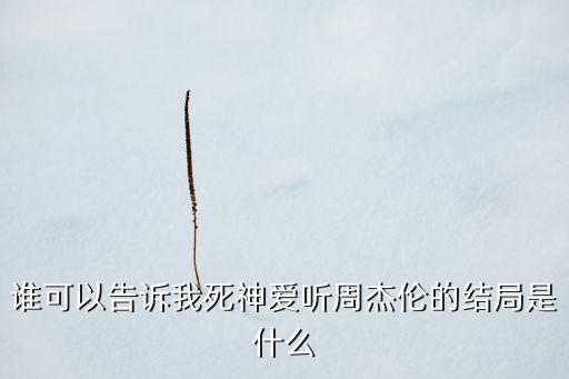 誰可以告訴我死神愛聽周杰倫的結(jié)局是什么
