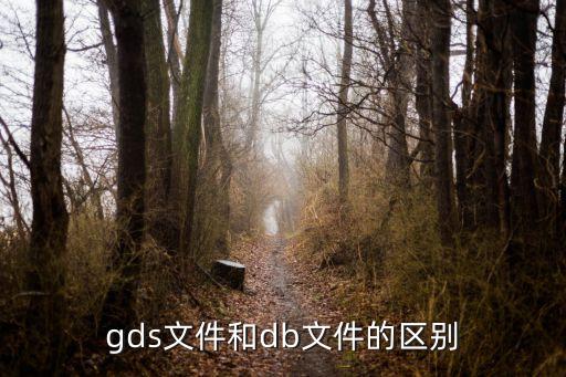 gds文件，gds 的文件如何打開