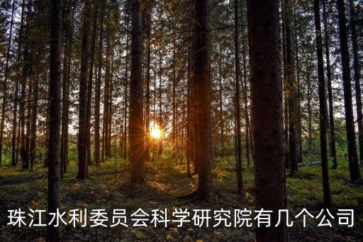 珠江水利委員會科學(xué)研究院有幾個公司