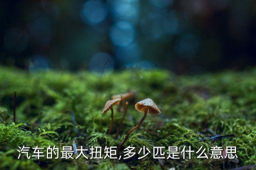 汽車的最大扭矩,多少匹是什么意思