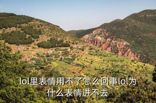 lol里表情用不了怎么回事lol為什么表情進(jìn)不去